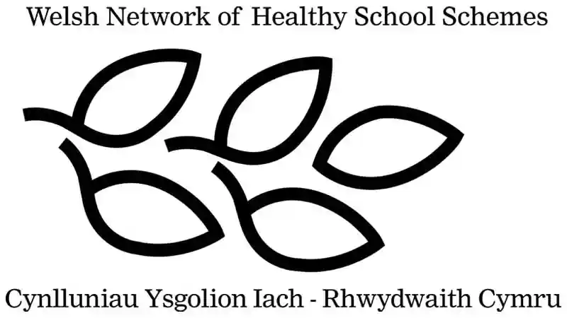 Welsh Network of Healthy Schools  - Cynlluniau Ysgolion Lach Rhwydwaith Cymru